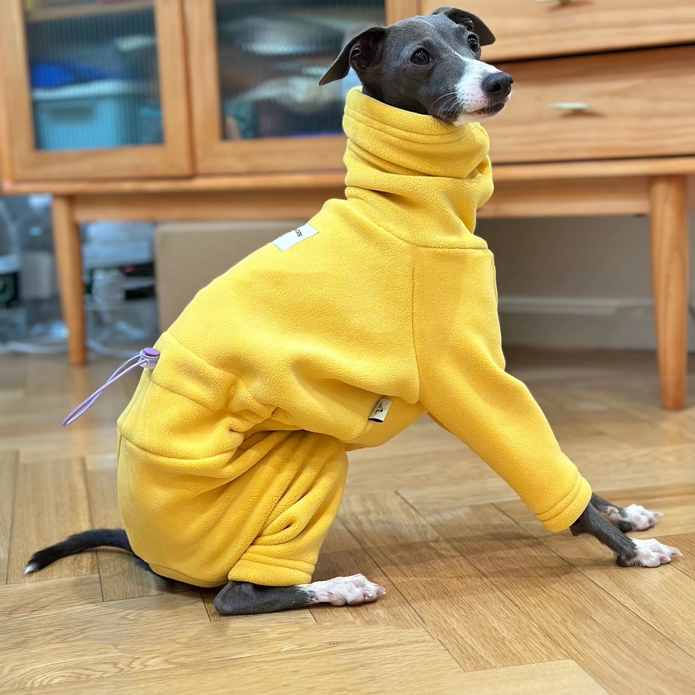 Yellow Winter Clothing - Warm Yellow Fleece Sweater for Italy